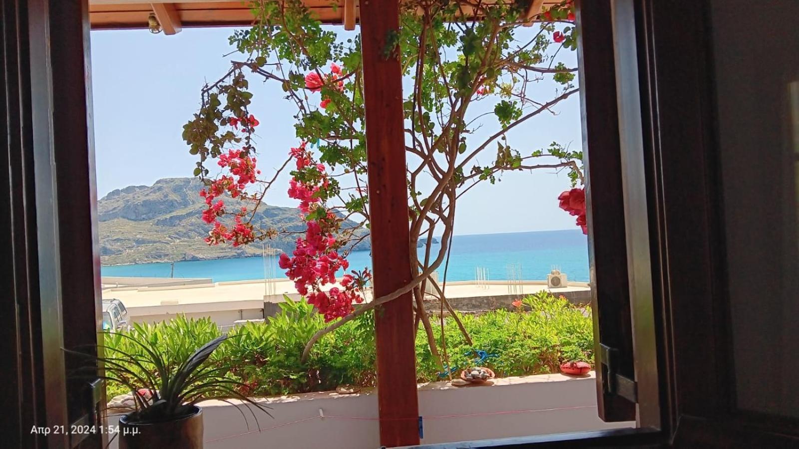 Eleni Goumenaki Plakias Studios Ngoại thất bức ảnh